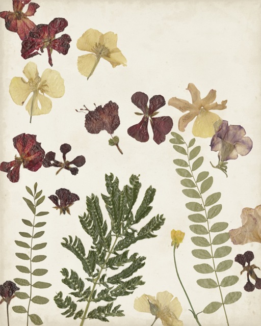 Pressed Flower Arrangement I