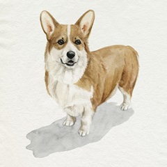 Pup for the Queen II