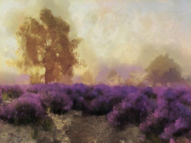 Purple Countryside II