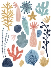 Reef Assortment II