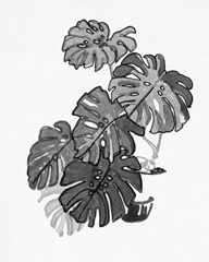 B&W Indoor Plant III