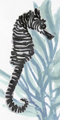 Zebra Seahorse I