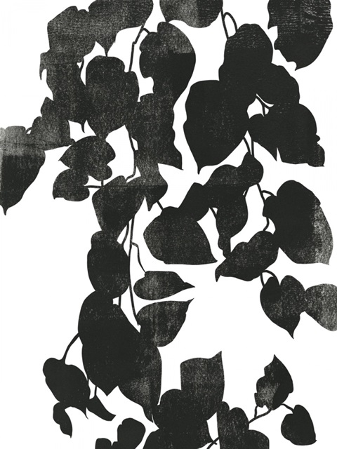 Pothos Silhouette I