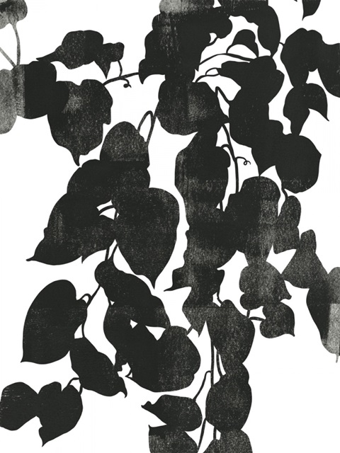 Pothos Silhouette II