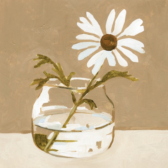 Solitary Daisy II