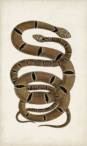 Antique Snakes III