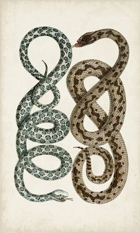 Antique Snakes IV