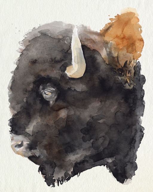 Watercolor Bison Profile II