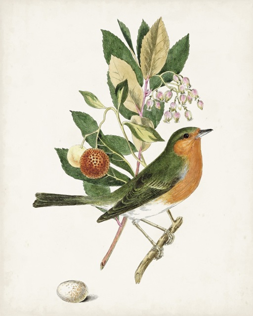 Antique Bird, Botanical & Egg I