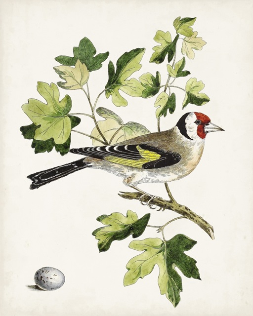 Antique Bird, Botanical & Egg III