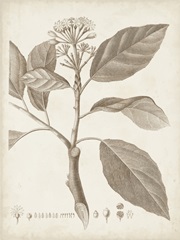 Antique Sepia Botanicals IX