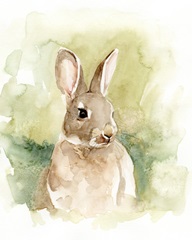 Field Bunny I