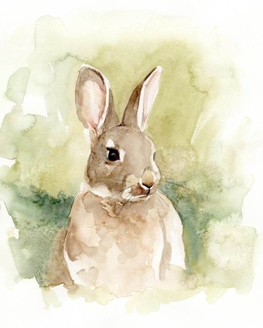 Field Bunny I