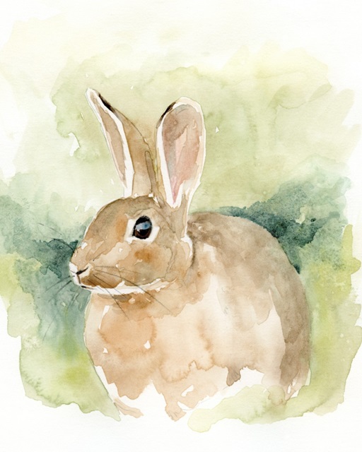 Field Bunny II
