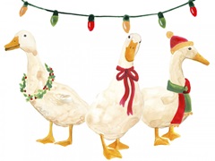 Merry Quackmas I