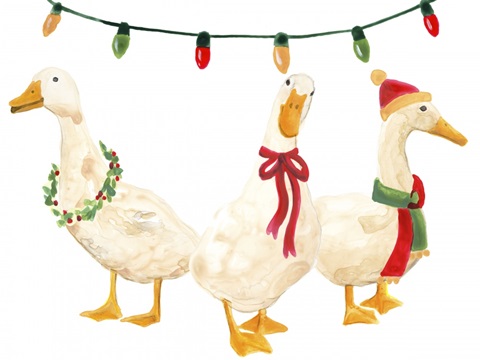 Merry Quackmas I