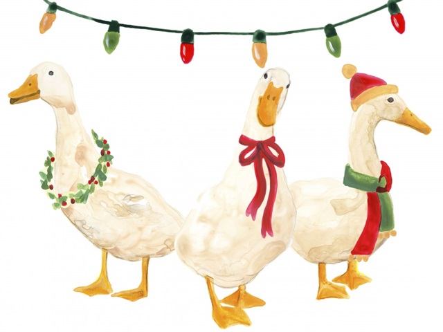 Merry Quackmas I