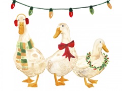 Merry Quackmas II