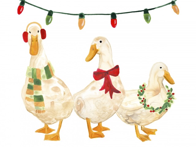 Merry Quackmas II