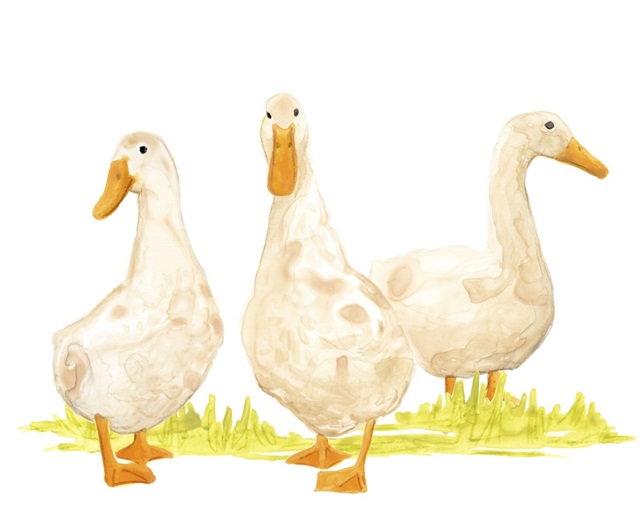 Quack Squad II