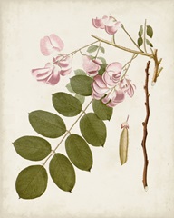 Vintage Flowering Trees VIII