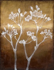 Sunset Silhouette II