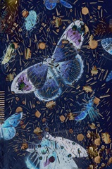 Confetti with Butterflies I