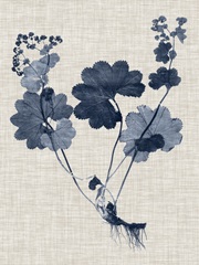 Navy & Linen Leaves IV