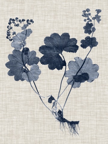 Navy & Linen Leaves IV