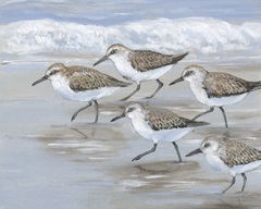 Sandpipers I