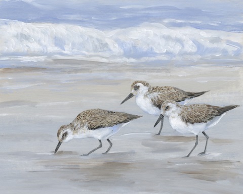 Sandpipers II
