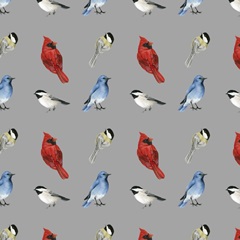 Birch Birds Collection H