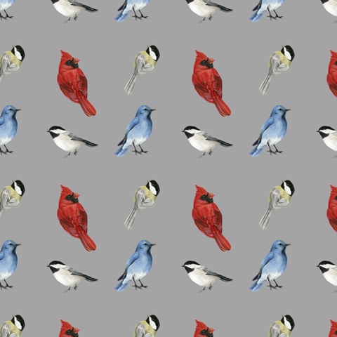 Birch Birds Collection H