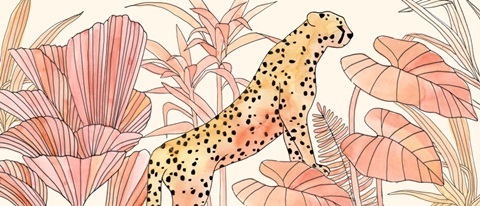 Blush Cheetah Collection D