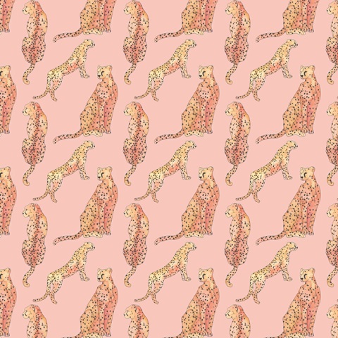 Blush Cheetah Collection H