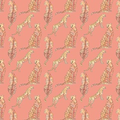 Blush Cheetah Collection I