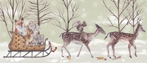 Christmas Time Collection D