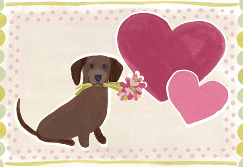 Dachshund Delight Collection A