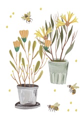 Garden Time Collection B