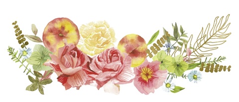 Just Peachy Collection D