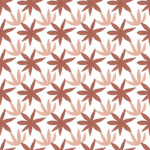 Koala-ty Time Collection H