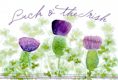 Lucky Shamrock Collection A