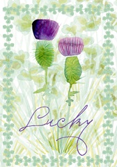 Lucky Shamrock Collection B