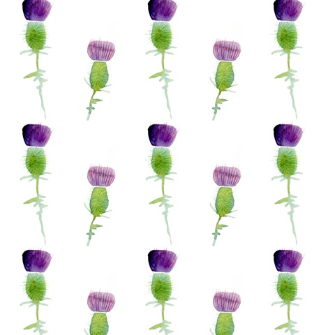 Lucky Shamrock Collection H