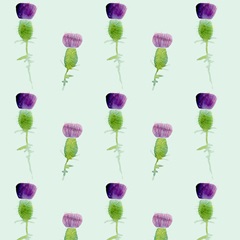 Lucky Shamrock Collection I