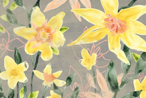 Narcissus Fresco Collection A