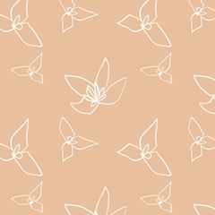 Narcissus Fresco Collection F