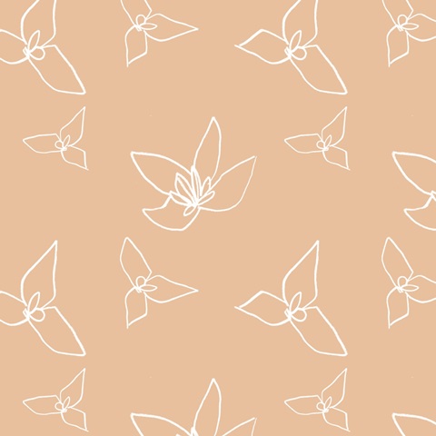 Narcissus Fresco Collection F