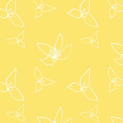 Narcissus Fresco Collection G