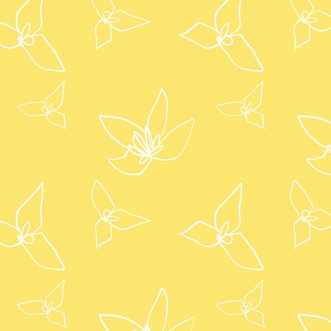 Narcissus Fresco Collection G